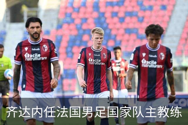 齐达内任法国男足国家队主教练